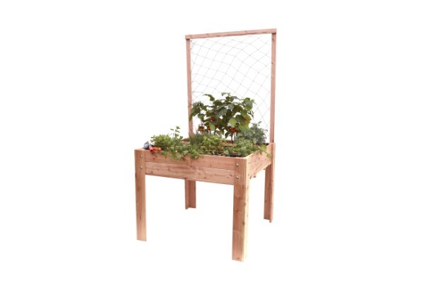 Douglas Klimplantenframe
