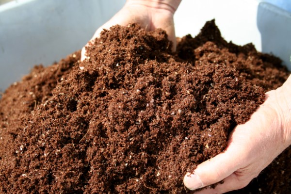 Compost